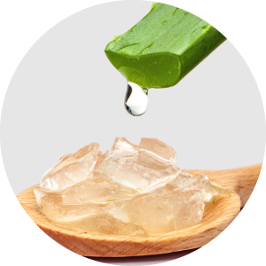 Web_ikony-kosmetika-3-Aloe_Vera (1)